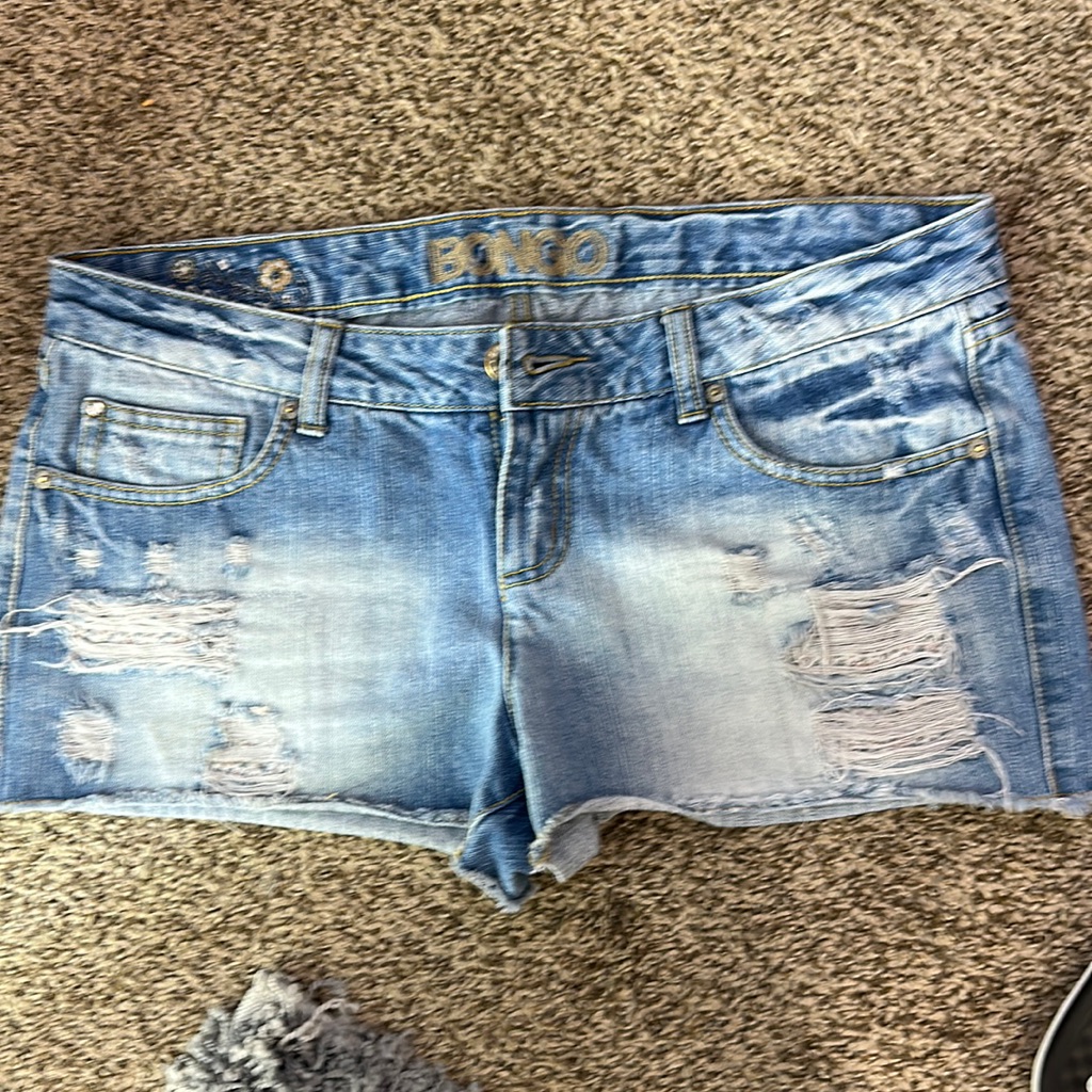 Bongo Size 13